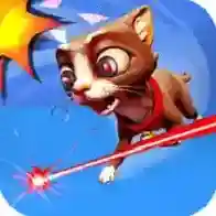 怒猫拆家