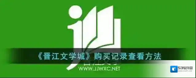 晋江文学城购买记录