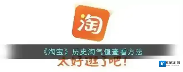 淘宝网淘气值