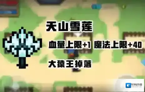 元气骑士版本