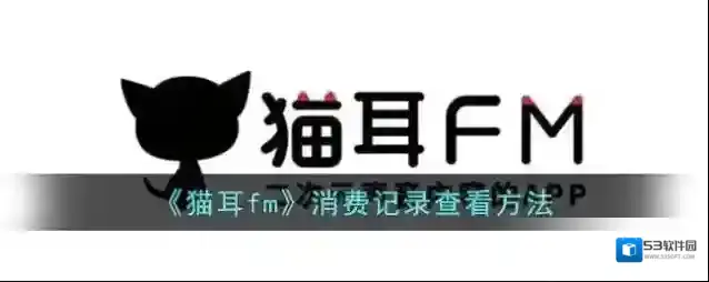 猫耳FM消费记录
