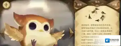 万象物语普吉怎么搭配 普吉阵容搭配推荐