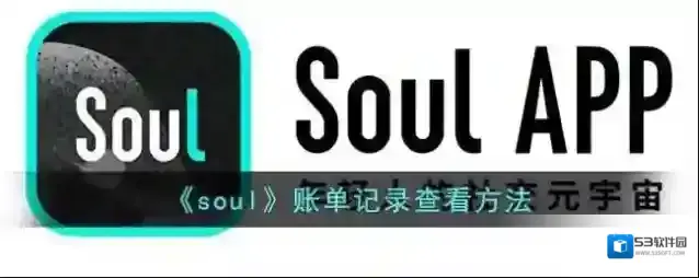 Soul账单