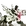 重装战姬提高