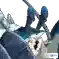 FGO配置