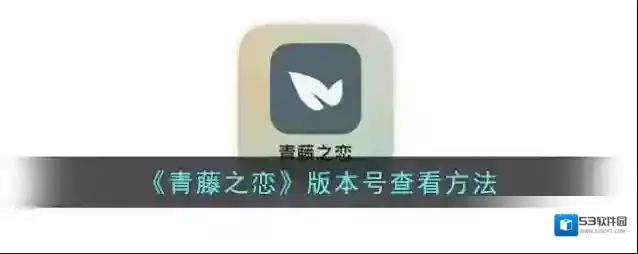 《青藤之恋》版本号查看方法