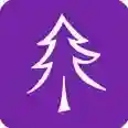 小树优选