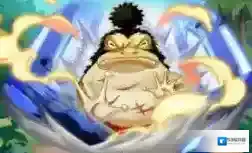 航海王强者之路白金宠物横钢介绍