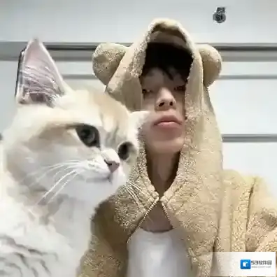 微信侵权