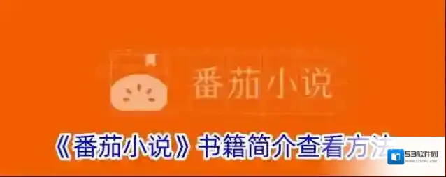 番茄小说如下图所示