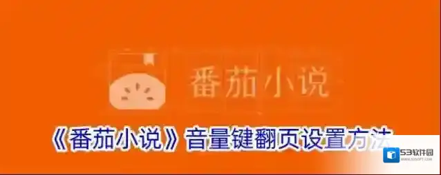 番茄小说音量键